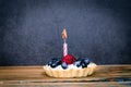 Birthday cake with berries and one burning candle Royalty Free Stock Photo