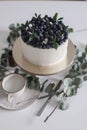 A cake on a tray with blueberries and blueberries, decorated with green leaves on a background of eucalyptus branches Royalty Free Stock Photo