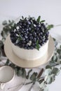 A cake on a tray with blueberries and blueberries, decorated with green leaves on a background of eucalyptus branches Royalty Free Stock Photo