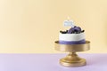 Birthday cake with candle Happy birthday decorated with macarons and berries on bright background. Horizontal, copy space. Royalty Free Stock Photo