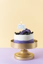 Birthday cake with candle Happy birthday decorated with macarons and berries on bright background. Vertical, copy space. Greeting Royalty Free Stock Photo