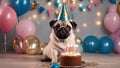 birthday cake with candles A pug puppy with a comically oversized party hat sitting in front of a birthday cake