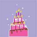 Birthday Cake 10 Candles Vector