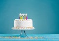 Birthday Cake with Candles Royalty Free Stock Photo