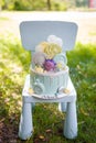 Birthday cake on chair outdoors. Green grass background. Kikoriki cartoon character.  One year birthday party Royalty Free Stock Photo