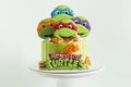 Birthday cake for a fan of Teenage Mutant Ninja Turtles on white background