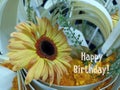 Birthday card background with yellow daisy flowers in traditional arrangement. Happy Birthday. Royalty Free Stock Photo