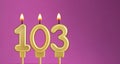 Birthday card with candle number 103 - purple background