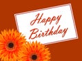 Birthday card with a gerbera flower Royalty Free Stock Photo