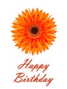 Birthday card with a gerbera flower