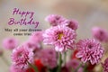 Birthday card and greeting concept. With birthday wishes message - May all your dreams come true. On background of pink flowers. Royalty Free Stock Photo