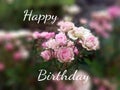 Birthday card with little pink rose flowers background. Happy Birthday.