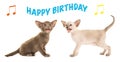 Birthday card with siamese baby cats singing happy birthday