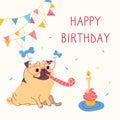 Birthday cards with cute cartoon pug. Garlands, a festive cupcake with candles in the form of a bone, pipe, sunglasses Royalty Free Stock Photo