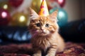 Birthday cat kitty funny cute pretty happy small animal playful festive hat celebrate, cake candles gifts banner copy