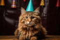 Birthday cat kitty funny cute pretty happy small animal playful festive hat celebrate, cake candles gifts banner copy