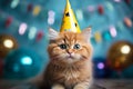 Birthday cat kitty funny cute pretty happy small animal playful festive hat celebrate, cake candles gifts banner copy