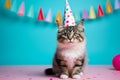 Birthday cat kitty funny cute pretty happy small animal playful festive hat celebrate, cake candles gifts banner copy