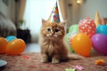 Birthday cat kitty funny cute pretty happy small animal playful festive hat celebrate, cake candles gifts banner copy