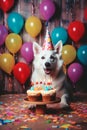White Swiss Shepherd dog with a hat and birthday cake and candles. Royalty Free Stock Photo