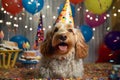 Cocker Spaniel dog with a hat and birthday cake and candles. Royalty Free Stock Photo