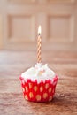 Birthday cupcake blurry background with lit candle Royalty Free Stock Photo