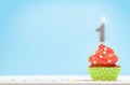 Birthday cupcake with burning candle Royalty Free Stock Photo