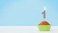 Birthday cupcake with burning candle Royalty Free Stock Photo