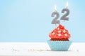 Birthday cupcake with burning candles Royalty Free Stock Photo