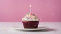 birthday cupcake with candle A birthday cupcake with a lit candle and colorful sprinkles on a white plate. Royalty Free Stock Photo