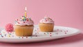 birthday cupcake with candle A birthday cupcake with a lit candle and colorful sprinkles on a white plate. Royalty Free Stock Photo