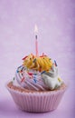 Birthday cupcake with candle, on the pink Royalty Free Stock Photo