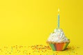 Birthday cupcake with candle on yellow background. Greeting card Royalty Free Stock Photo