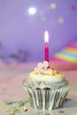 Birthday cupcake closeup on colorful background