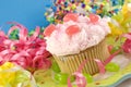 Birthday Cupcake with Colorful Decorations Royalty Free Stock Photo