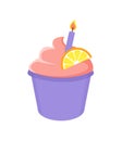 Birthday Cupcake with Lighted Candle and Orange Royalty Free Stock Photo