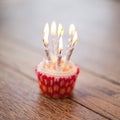 Birthday cupcake with lots of lit candles Royalty Free Stock Photo