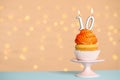 Birthday cupcake with number ten candle on stand festive lights, space for text Royalty Free Stock Photo