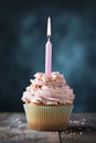 Birthday Cupcake with Pink Candle and Frosting Royalty Free Stock Photo