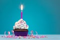 Birthday Cupcake Royalty Free Stock Photo