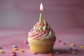 Birthday Cupcake with Pink Frosting and Candle Royalty Free Stock Photo
