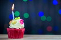 Birthday cupcake with a single blue candle.Cupcake with yellow cream and heart for love valentines.green crown cupcakes with cream Royalty Free Stock Photo