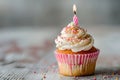 Celebratory cupcake with lit candle Royalty Free Stock Photo