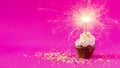 Birthday Cupcake with a sparkler at pink background
