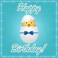 Birthday greeting card with cute little chicken