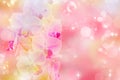 Birthday party, festival vintage blurred spring romantic floral background with orchid, bokeh and bubbles. Tender backdrop for