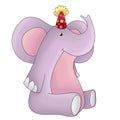 Birthday party funny elephant