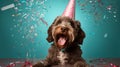 birthday party of Happy cute labradoodle dog with party hat surrounded by falling confetti on blue background. Royalty Free Stock Photo