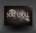 Poster with lettering natural instinct and metallic tropical leaves.