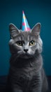 Birthday purrs, cat with hat on blue Royalty Free Stock Photo